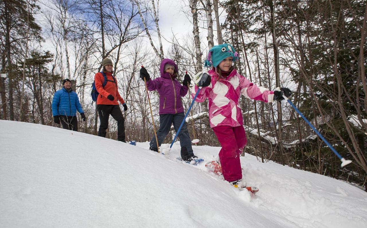 Chalet Centenaire Mauricie Βίλα Saint Roch de Mekinac Εξωτερικό φωτογραφία